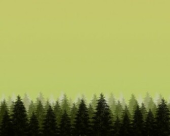 Pine Forest By Softwalls