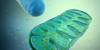 Cash Injection Sets Up First Trial Of Immunomet S Lead Cancer