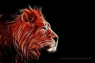 Beautiful Wallpaper Lion