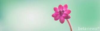 Windows Wallpaper Pack Win
