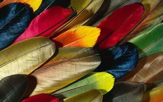 Cool And Funky Abstract HD Wallpaper Creatiwitty