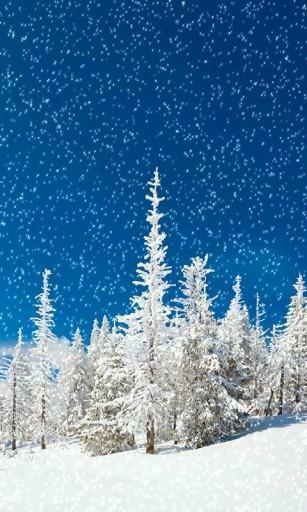 Bigger Snow Falling Live Wallpaper3 For Android Screenshot