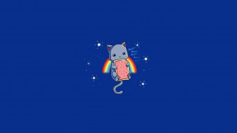 Cat Meme Picture Wallpaper