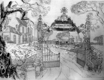 Library One Hundred And Dalmatians Background Layouts