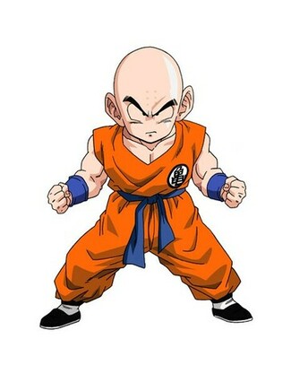 Krillin Wallpaper Image