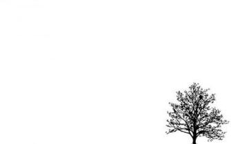Minimalistic Simple Background Trees White Latar