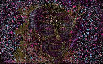 Lsd Wallpaper