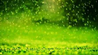Rain Desktop Wallpaper Beautiful