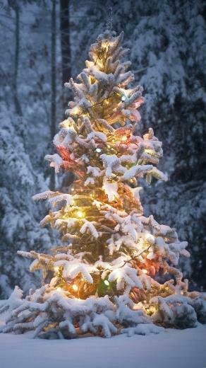 Winter Wallpaper iPhone Plus