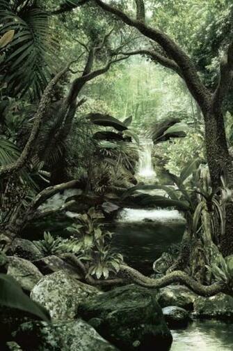 Wallpaper World Wildlife Fund Anger