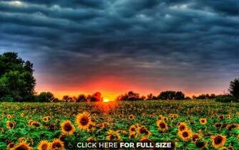Beautiful Wallpaper Photos And Desktop Background Up To