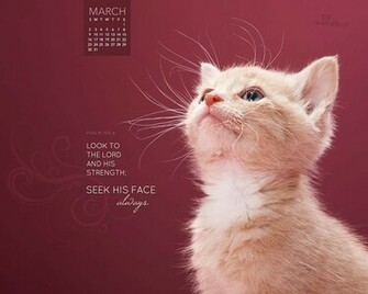 By Akukhanya Educational Consulting On Jireh Wallpaper Pinter