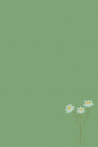 Sage Green Wallpaper Mint