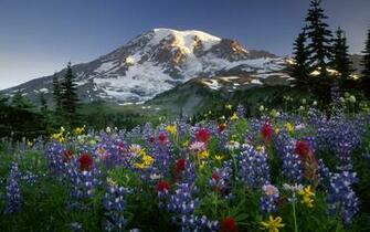 Mountains Desktop Wallpaper For HD Widescreen And Mobile