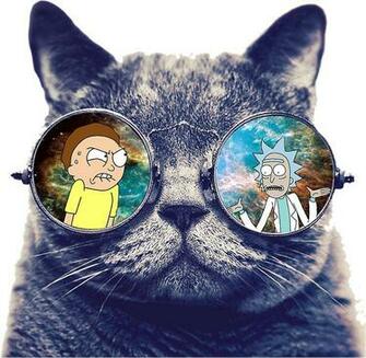 M S De Ideas Incre Bles Sobre Rick And Morty Wallpaper