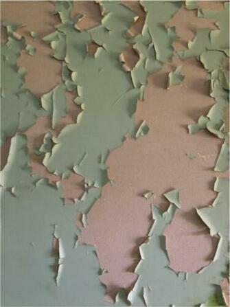 Torn Wallpaper Assemble