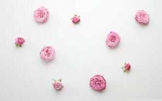 Top Lovely And Cute Wallpaper Simplethemes