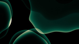 Dark Green Wallpaper