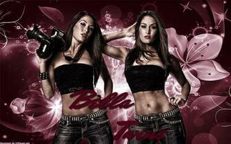 The Bella Twins Wwe Divas