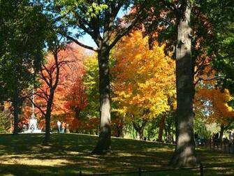 Fall In Central Park New York City Wallpaper