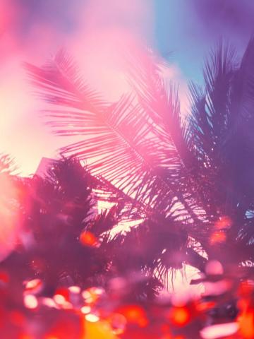 Tommy Kwak Fine Art Photography Miami