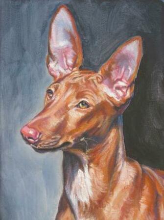 Drawn Pharaoh Hound Photo And Wallpaper Beautiful
