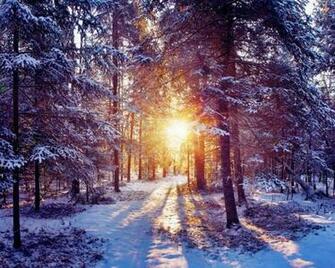 Winter Sunrise Wallpaper Hq Desktop