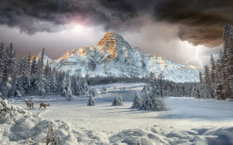 Mount Chephren Canadian Rockies Vally Winter Landscape Forest