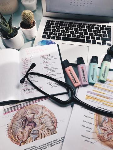 Anatomy Cappuccini Medical Student Motivation School