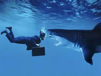 Desktop Wallpaper Gallery Humor Predatory Business