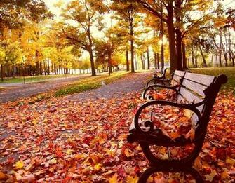 Road Side Bench In Fall Season With Resolutions Pixel