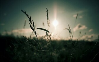 Good Morning Wallpaper Mobile