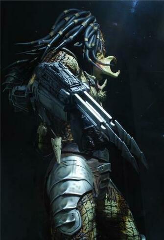 Predator Wallpaper HD Kaden In