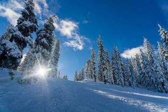 Winter 5k Retina Ultra HD Wallpaper Background Image