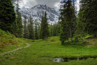 Wallpaper Austria Mountains Alps Meadow Desktop