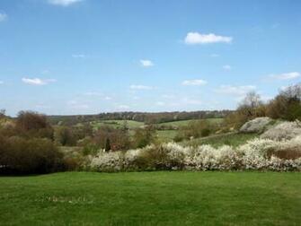 Mayflower In The Chess Valley Wallpaper