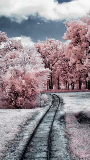 5s Wallpaper Enjoy More What You Like In The Base