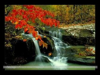 Spring River Wallpaper