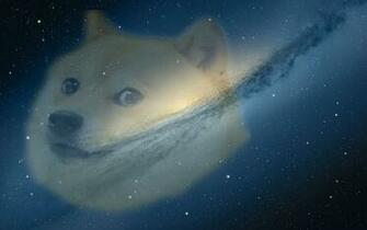 Doge Mac Id