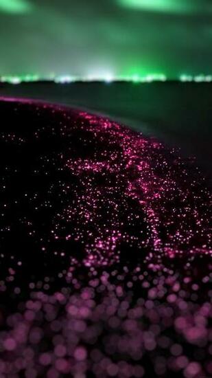 Ocean Night Red Blink Beautiful Nature Android Wallpaper