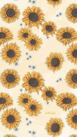 Image About Flowers In Wallpaper By Maria Leonidou