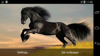 Live Wallpaper This Is Wonderful Interactive