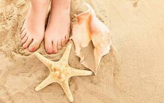 Summer Toes Females Legs Sand Shells Hot Weather