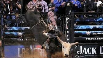 Pbr Bull Riding Wallpaper Professional Riders