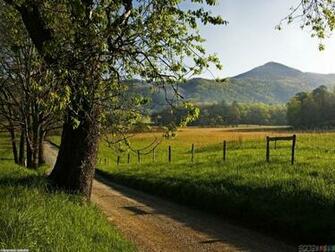 Country Road Wallpaper Open Walls
