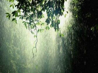Rain Wallpaper Widescreen HD For