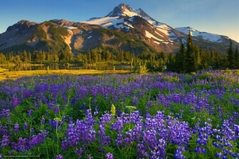 Oregon Desktop Wallpaper In The Resolution Picture