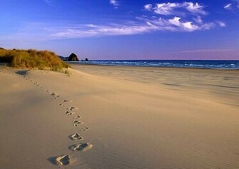 Sandy Beach Wallpaper Sea And