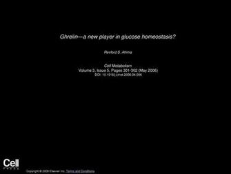 Ghrelin A New Player In Glucose Homeostasis Ppt