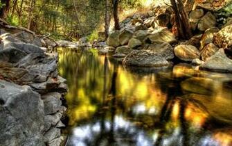 Forest Wallpaper Widescreen Original Fondos7 Net